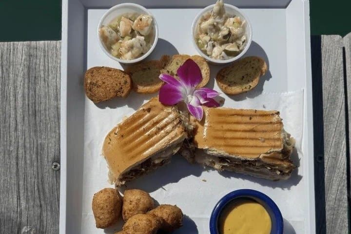 Key West Reef-to-Table Catamaran: Dolphin Watch, Snorkel & Local Cuisine photo 3