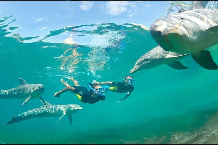 Red Sea Yacht Snorkeling: 3-Island Escape from Hurghada photo 4