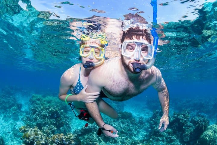 Half-Day Outer Reef Snorkelling Tour from Cairns — Outer Great Barrier Reef Snorkel photo 5