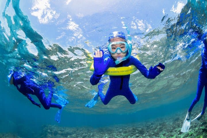 Half-Day Outer Reef Snorkelling Tour from Cairns — Outer Great Barrier Reef Snorkel photo 4