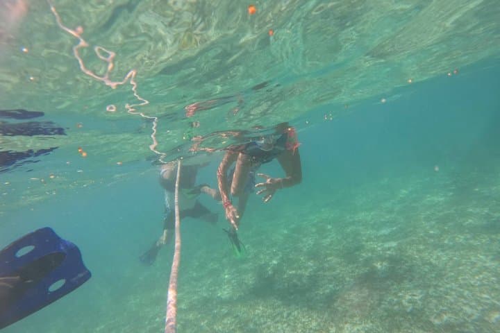 Private Costa Maya Snorkeling Tour: Mahahual Beach Club & Port Transfers photo 2