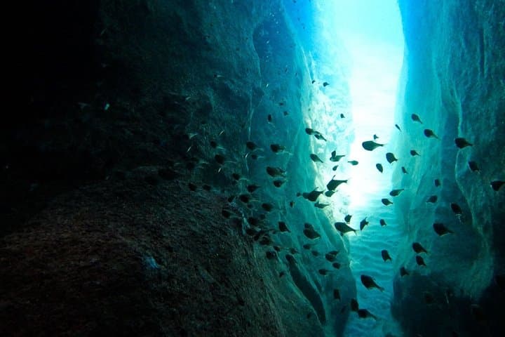 Rhodes Private SUP: Snorkel, Sea Caves & Picnic from Stegna photo 5