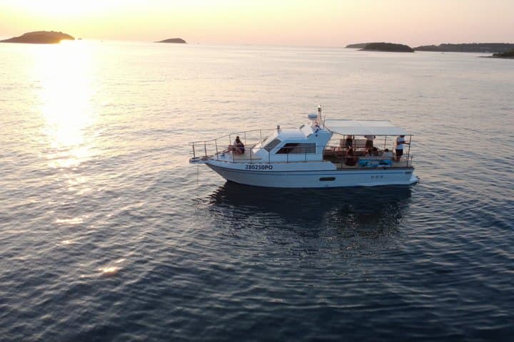 Private Istrian Sea Tour: Dolphin Watching and Hidden Bays from Funtana photo 3