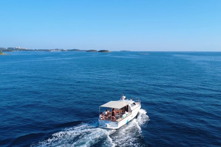 Private Istrian Sea Tour: Dolphin Watching and Hidden Bays from Funtana photo 4