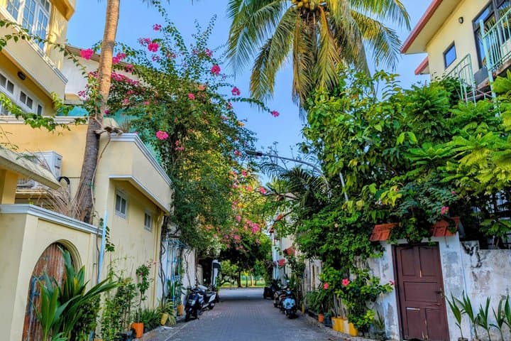 Malé Cat Island & Guided Snorkel at Villingili — Half-Day Cultural and Reef Tour photo 5