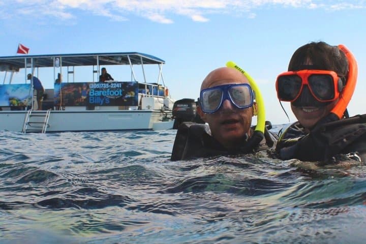 Key West Dolphin Watch and Snorkel — Half-Day Catamaran Adventure