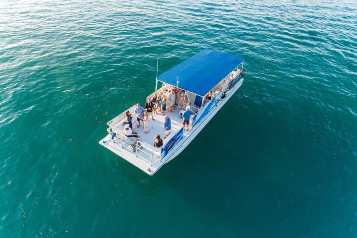 Key West Dolphin Watch and Snorkel — Half-Day Catamaran Adventure photo 3