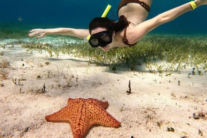 Cozumel Snorkeling at Palancar, Colombia Reefs & El Cielo Sandbar