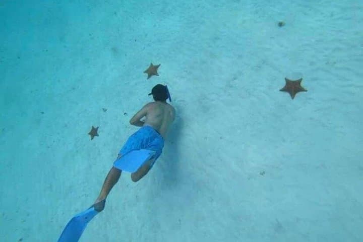 Cozumel Snorkeling at Palancar, Colombia Reefs & El Cielo Sandbar photo 3