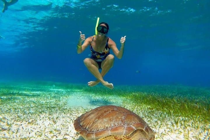 Cozumel Snorkeling at Palancar, Colombia Reefs & El Cielo Sandbar photo 6