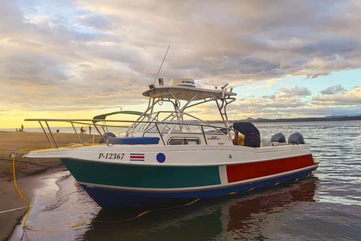 Private Tortuga Island Tour from Puntarenas — Snorkel with Dolphins and Lunch on the Beach photo 1