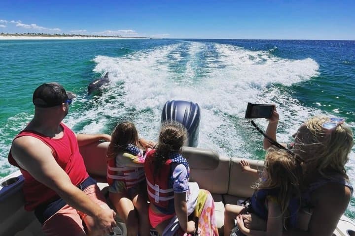 Private Dolphin & Snorkel Cruise — 2-Hour Panama City Beach Adventure photo 2