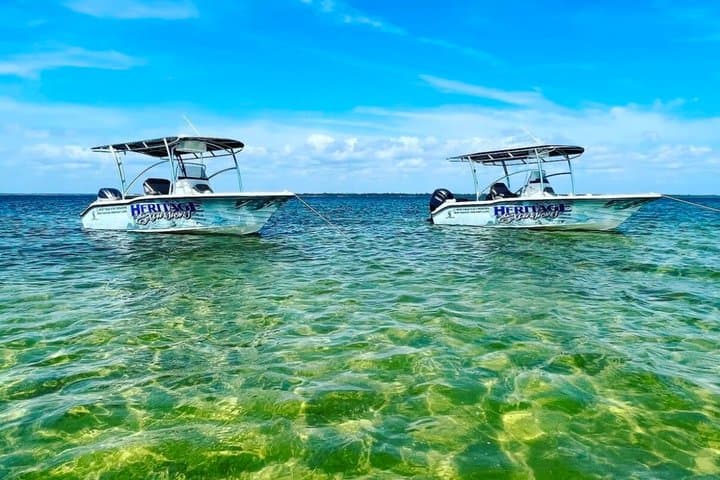 Private Dolphin & Snorkel Cruise — 2-Hour Panama City Beach Adventure photo 4