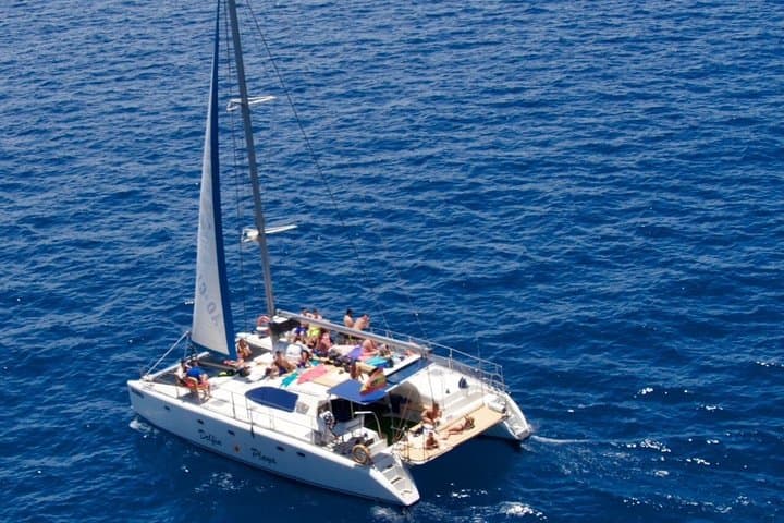 Shared Catamaran Tour: Snorkel and Lunch Along Gran Canaria’s Southern Coast photo 5