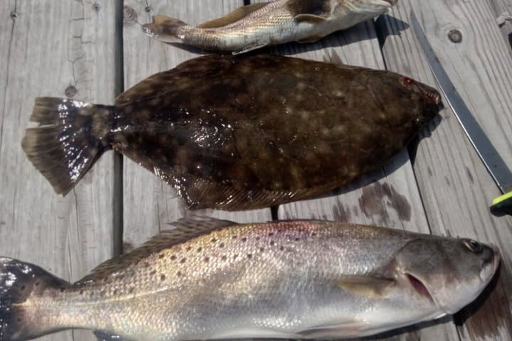 Myrtle Beach Fishing Charters: Family-Friendly Inshore & Offshore Trips photo 6