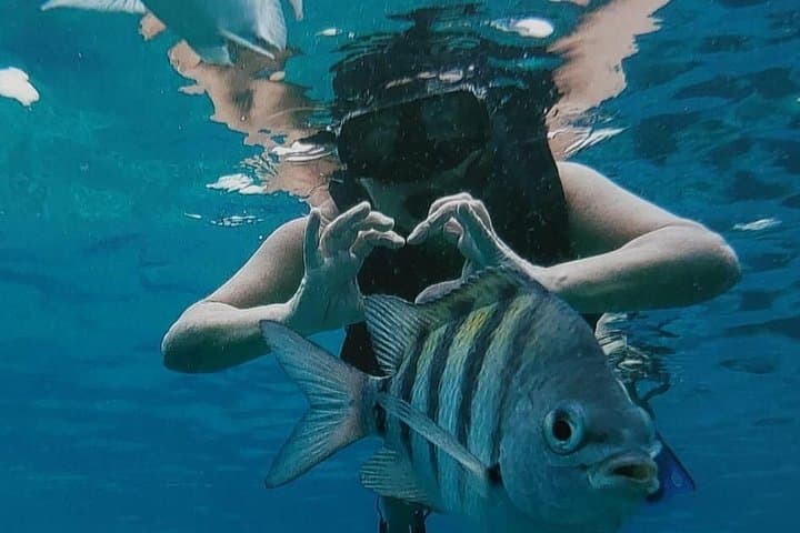 Orange Bay Snorkeling Trip from Hurghada: Full-Day Red Sea Adventure with Lunch photo 3