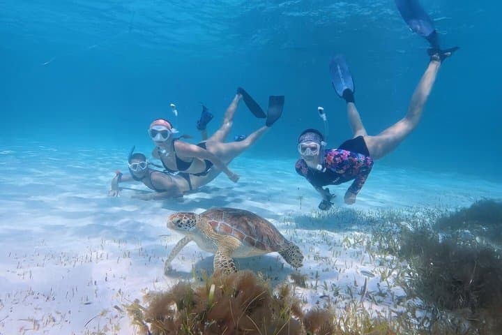 Mirissa Turtle Snorkeling: 100% Sighting Guarantee with Free GoPro photo 2