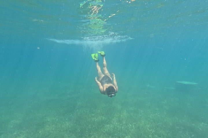 Snorkeling Costa Maya: Mahahual Barrier Reef Guided Snorkel