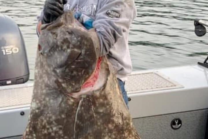 Icy Strait Small-Boat Whale Watching & Halibut Fishing from Hoonah photo 3