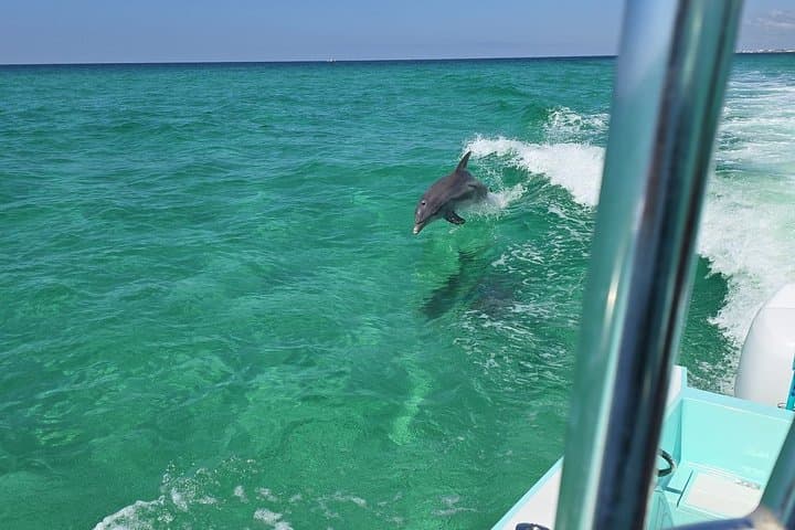 Private Crab Island Snorkel & Dolphin-Watching Charter in Destin photo 2