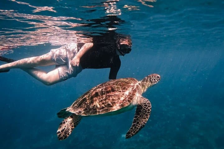 3-Day Komodo Sailing Adventure: Snorkel Padar, Pink Beach & Manta Point photo 2