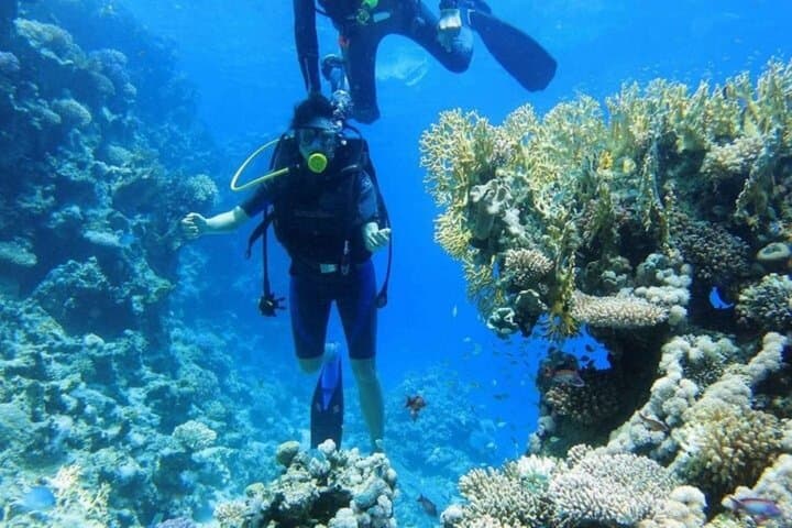 Tiran Island Snorkeling & Diving Day Trip from Sharm El Sheikh photo 4