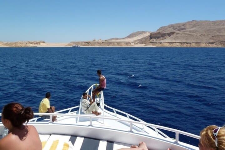 Tiran Island Snorkeling & Diving Day Trip from Sharm El Sheikh photo 2