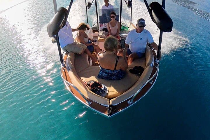 Tahiti Private Whale Watching & Snorkeling: Full-Day Humpback Expedition photo 2