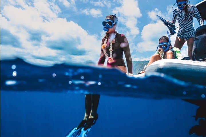 Tahiti Private Whale Watching & Snorkeling: Full-Day Humpback Expedition photo 5