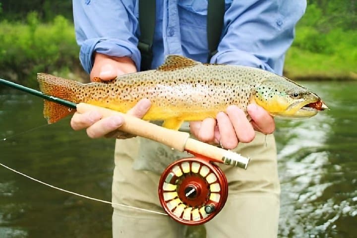Half-Day Guided Fly Fishing on the Flathead River — Glacier National Park photo 6