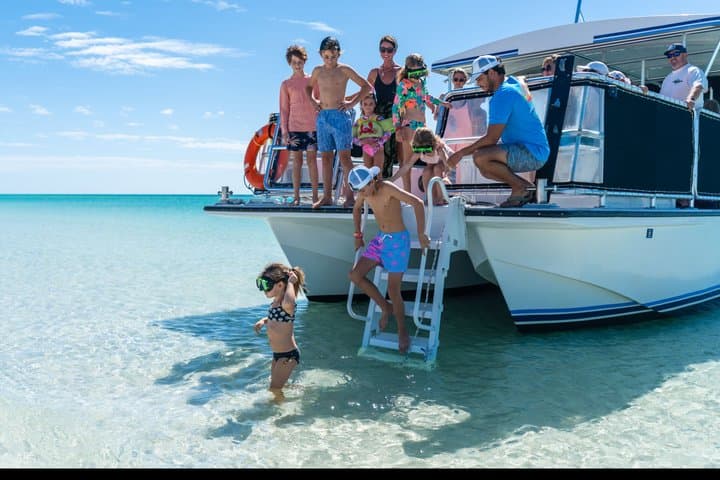 Private Shell Island Snorkel & Dolphin Charter from Panama City Beach