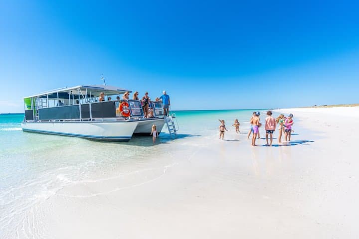 Private Shell Island Snorkel & Dolphin Charter from Panama City Beach photo 2
