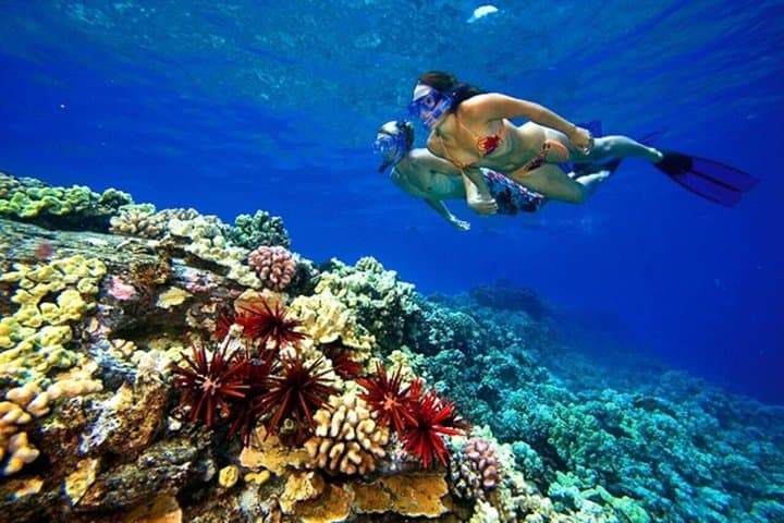 Sharm El Sheikh Jeep Safari to Colored Canyon, Blue Hole & Dahab — Full-Day Desert and Reef Adventure