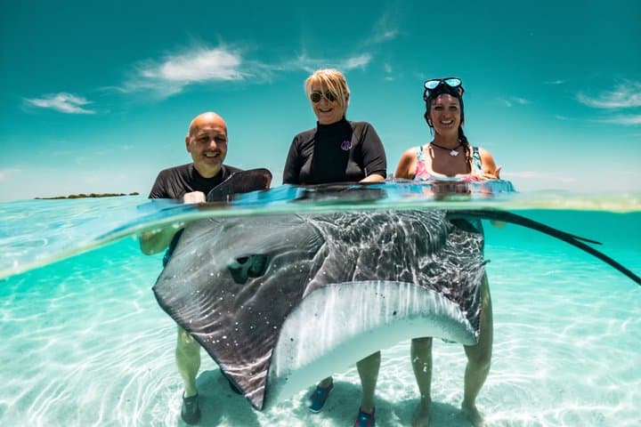 Moorea Lagoon Snorkel: Sharks, Stingrays & Sandbank Escape