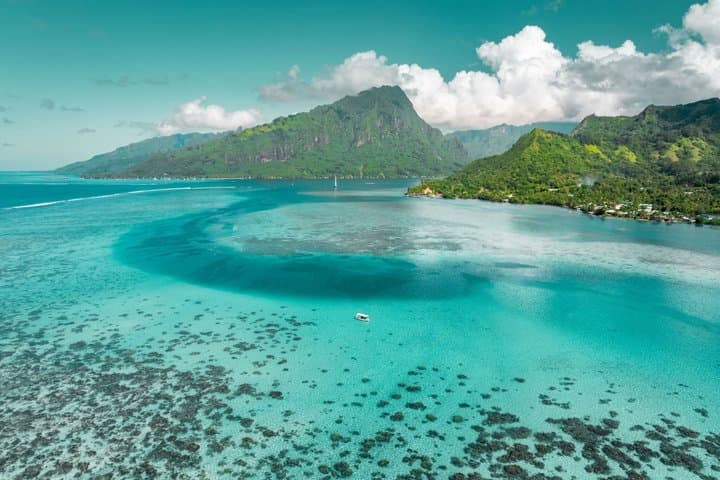 Moorea Lagoon Snorkel: Sharks, Stingrays & Sandbank Escape photo 2