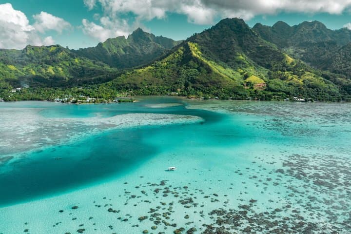 Moorea Lagoon Snorkel: Sharks, Stingrays & Sandbank Escape photo 3