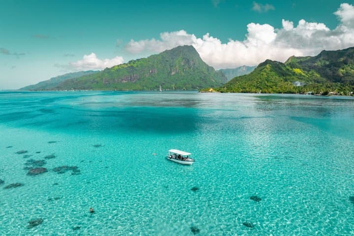 Moorea Lagoon Snorkel: Sharks, Stingrays & Sandbank Escape photo 4