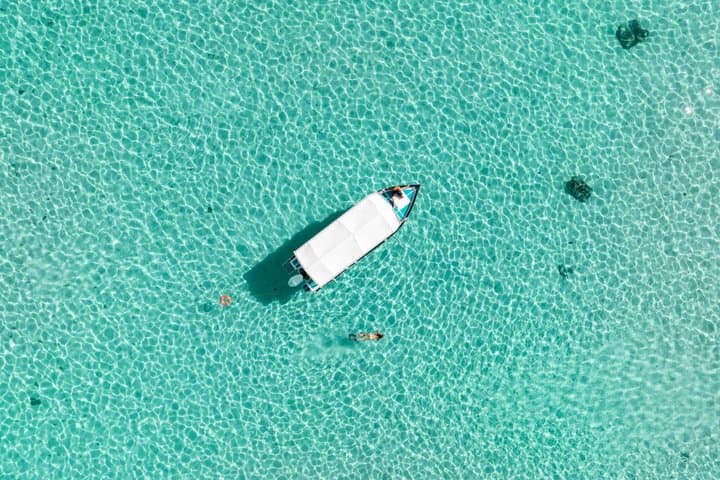 Moorea Lagoon Snorkel: Sharks, Stingrays & Sandbank Escape photo 5