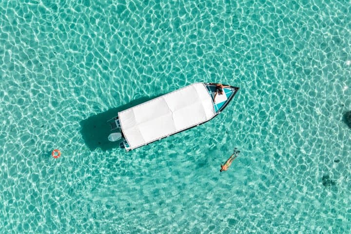 Moorea Lagoon Snorkel: Sharks, Stingrays & Sandbank Escape photo 6