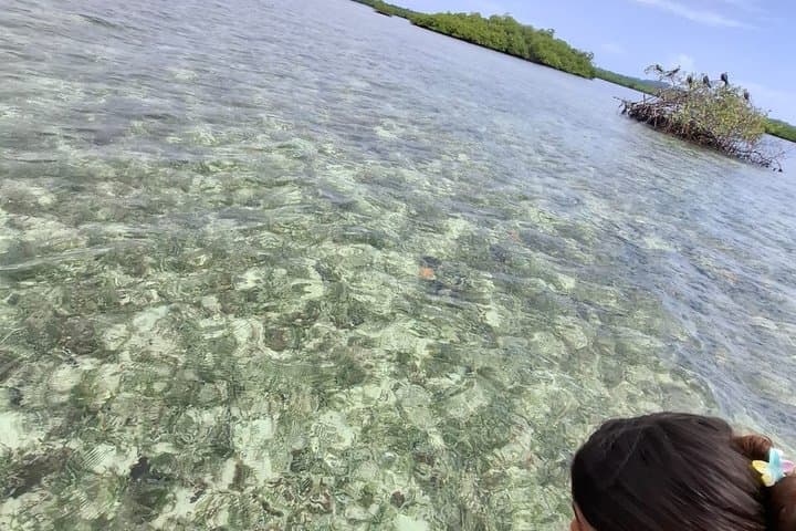 Zapatilla Cayes Snorkeling and Island Hopping from Bocas del Toro photo 5