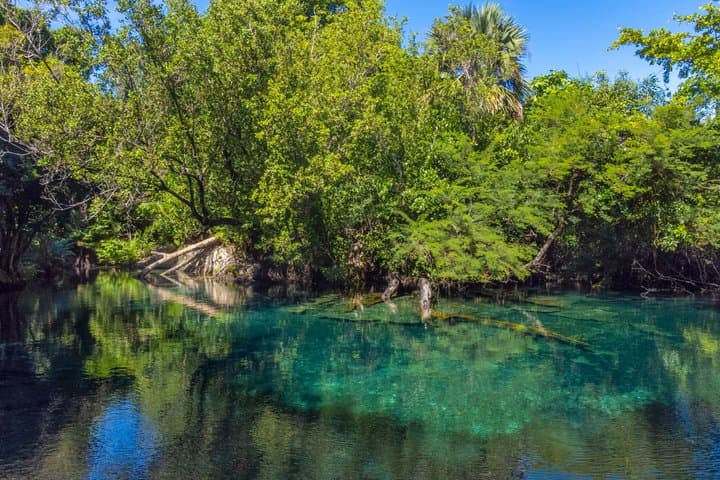 Playa Blanca Snorkeling & Indigenous Eyes Eco Tour — Punta Cana Catamaran, Reef & Freshwater Cenotes photo 6