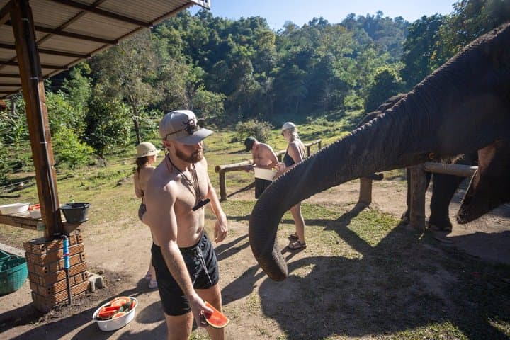 Mae Taeng River Tubing, Sticky Waterfall & Ethical Elephant Visit from Chiang Mai photo 2