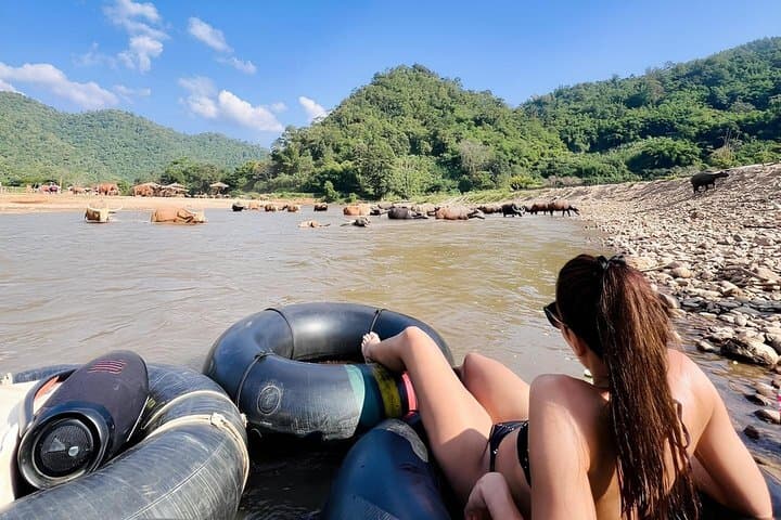 Mae Taeng River Tubing, Sticky Waterfall & Ethical Elephant Visit from Chiang Mai