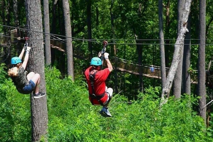 Adventure Day Trip to Kereita Forest: Ziplining and Outdoor Activities Near Nairobi photo 3