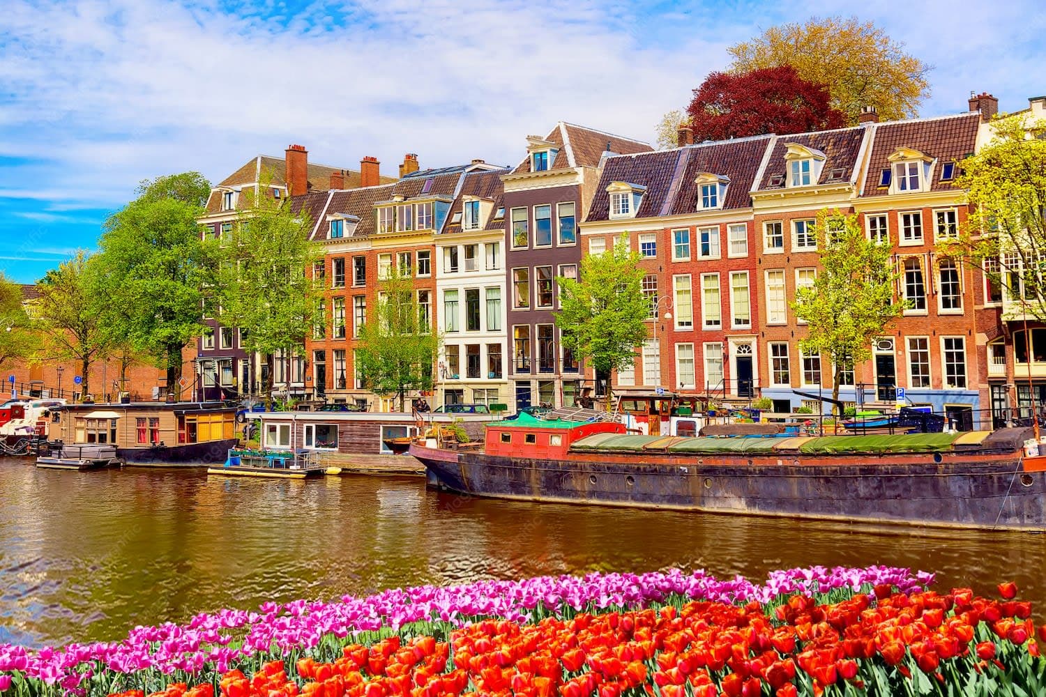 Private Day Trip from Brussels to Amsterdam: Canals, Jordaan & Golden Age photo 1