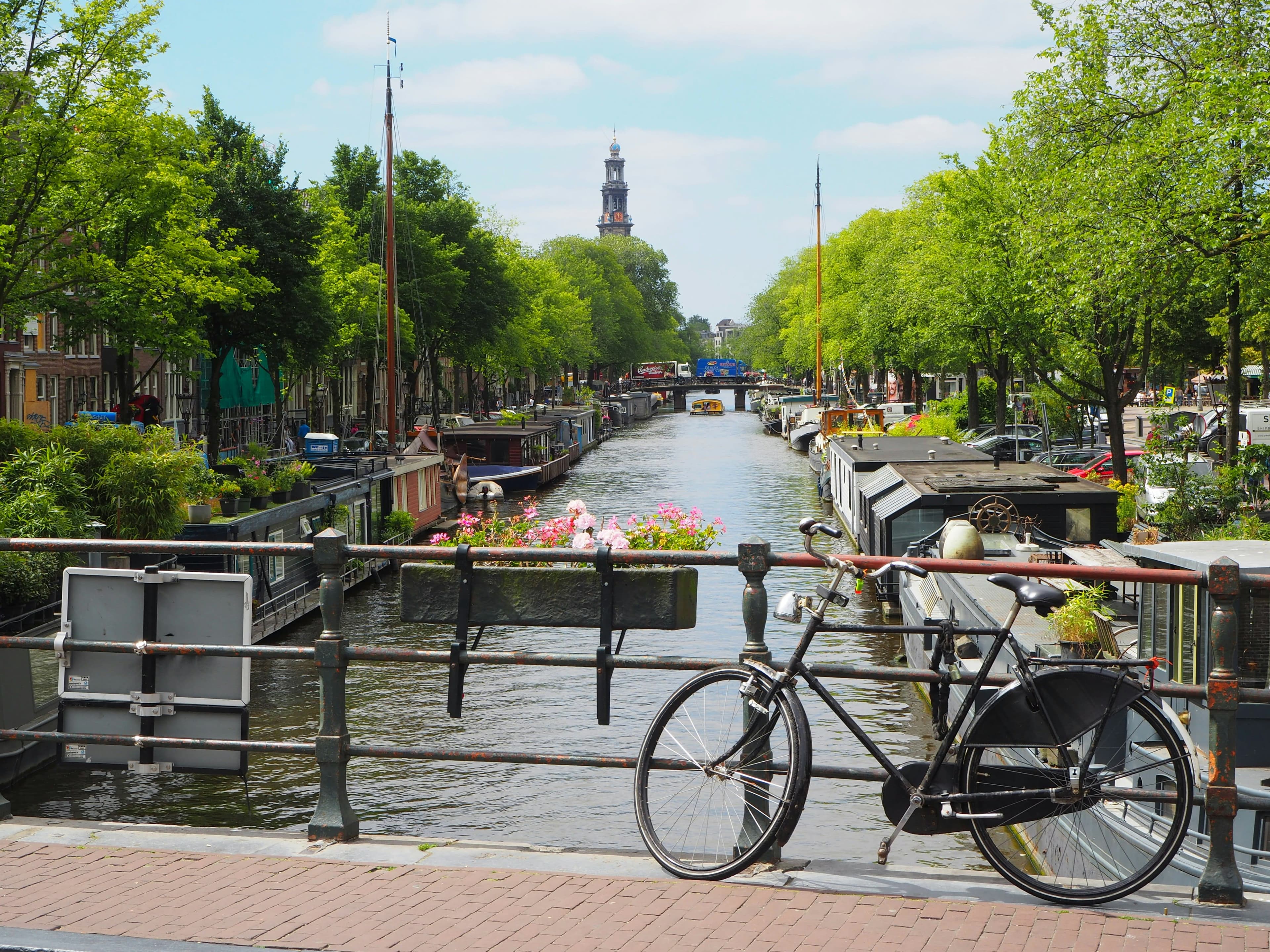 Day Trip from Brussels to Zaandam: Windmills, Canals & Dutch Countryside photo 4