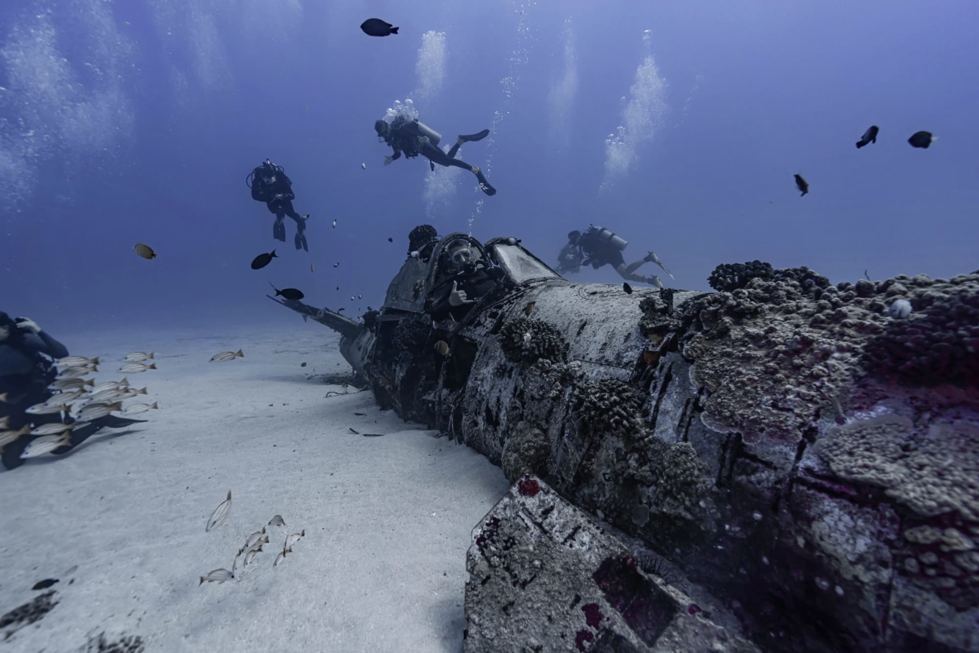 Two Tank Wreck and Drift Dive in Honolulu, Hawaii