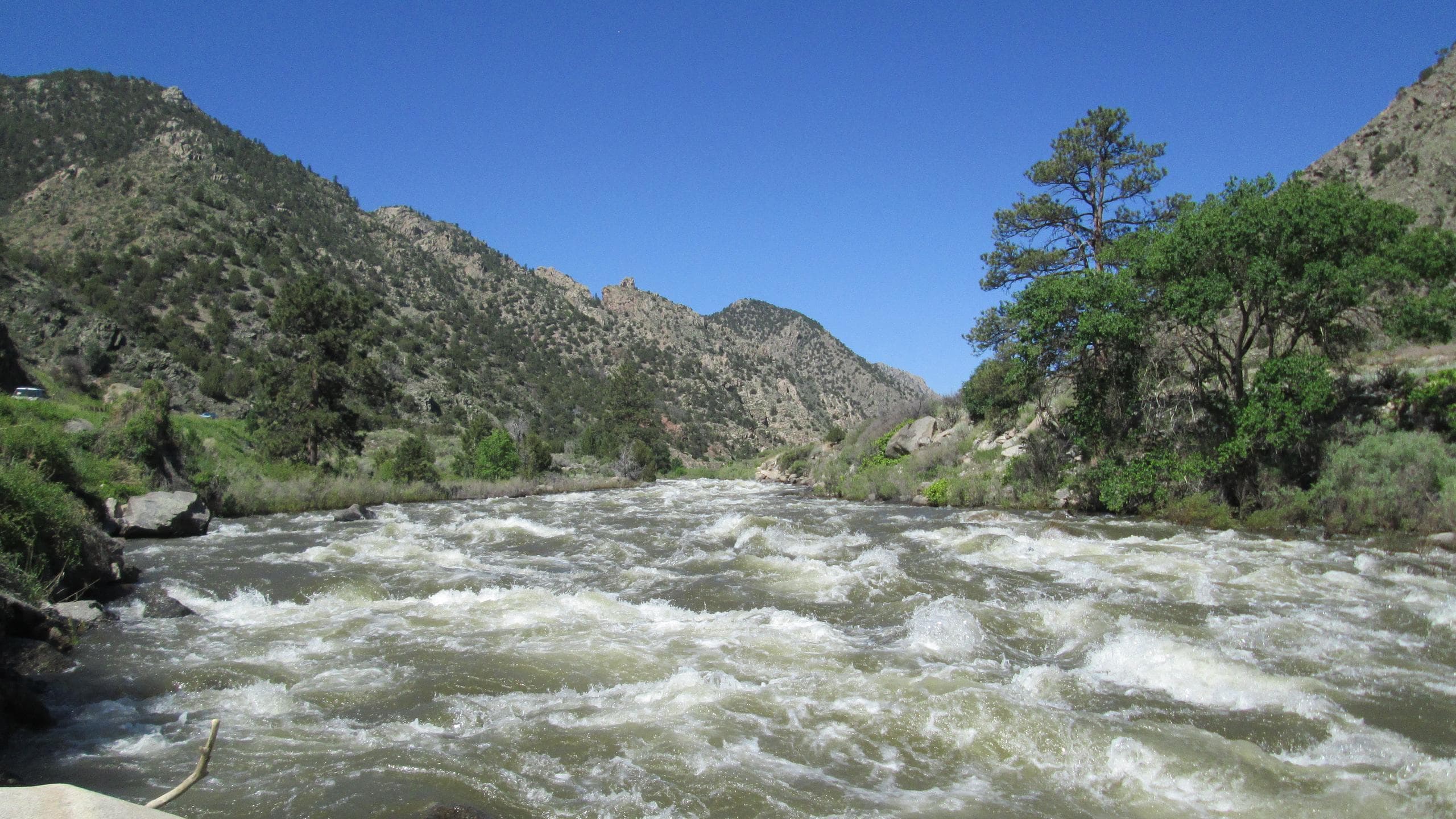 Whitewater rafting through mountain river canyon with rapids