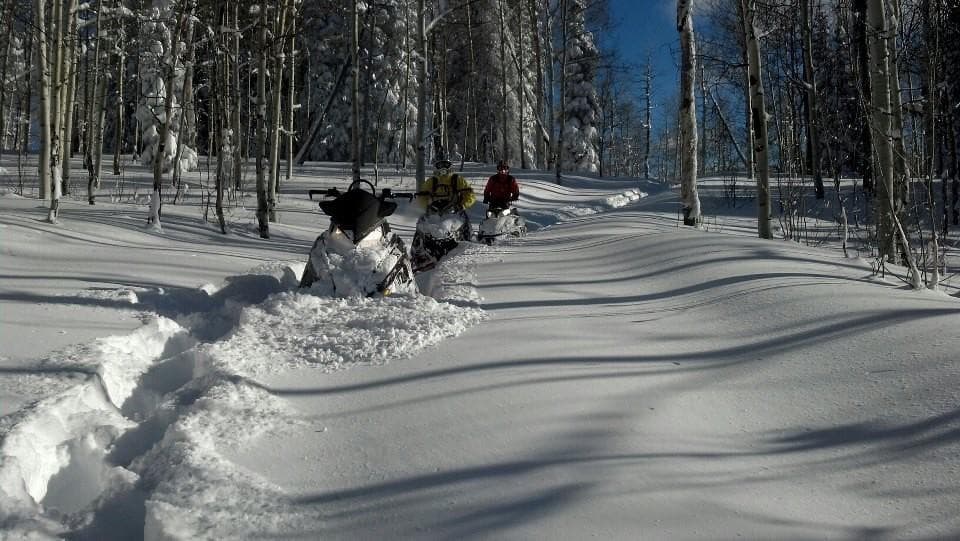 Sunset UTV Ride to Mosquito Pass: High-Altitude Polaris RZR Tours from Leadville