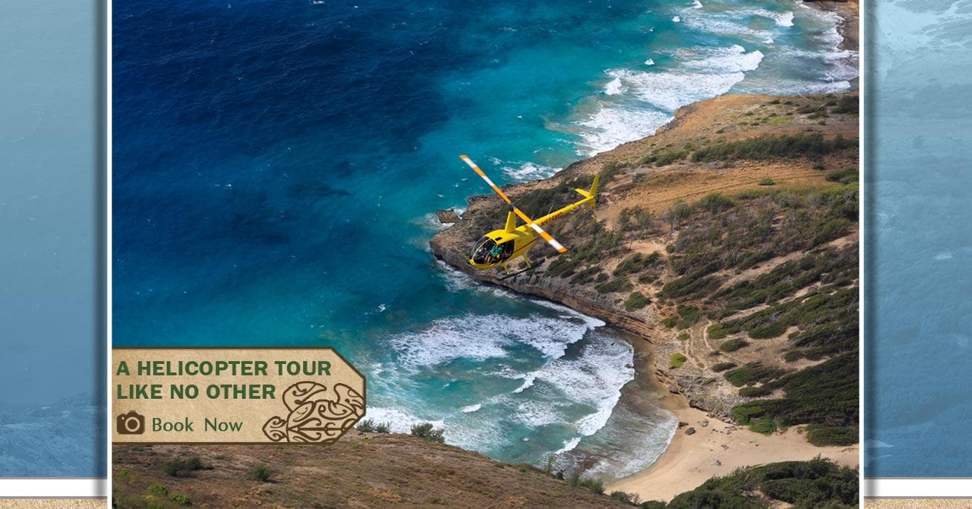 Yellow helicopter skimming rugged shoreline and coastal cliffs
